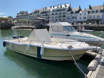 2007 White Shark 265