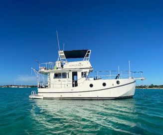 2008 Great Harbour N37