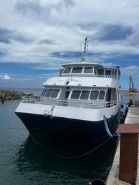 2000 Custom Pech Alu Power Catamaran