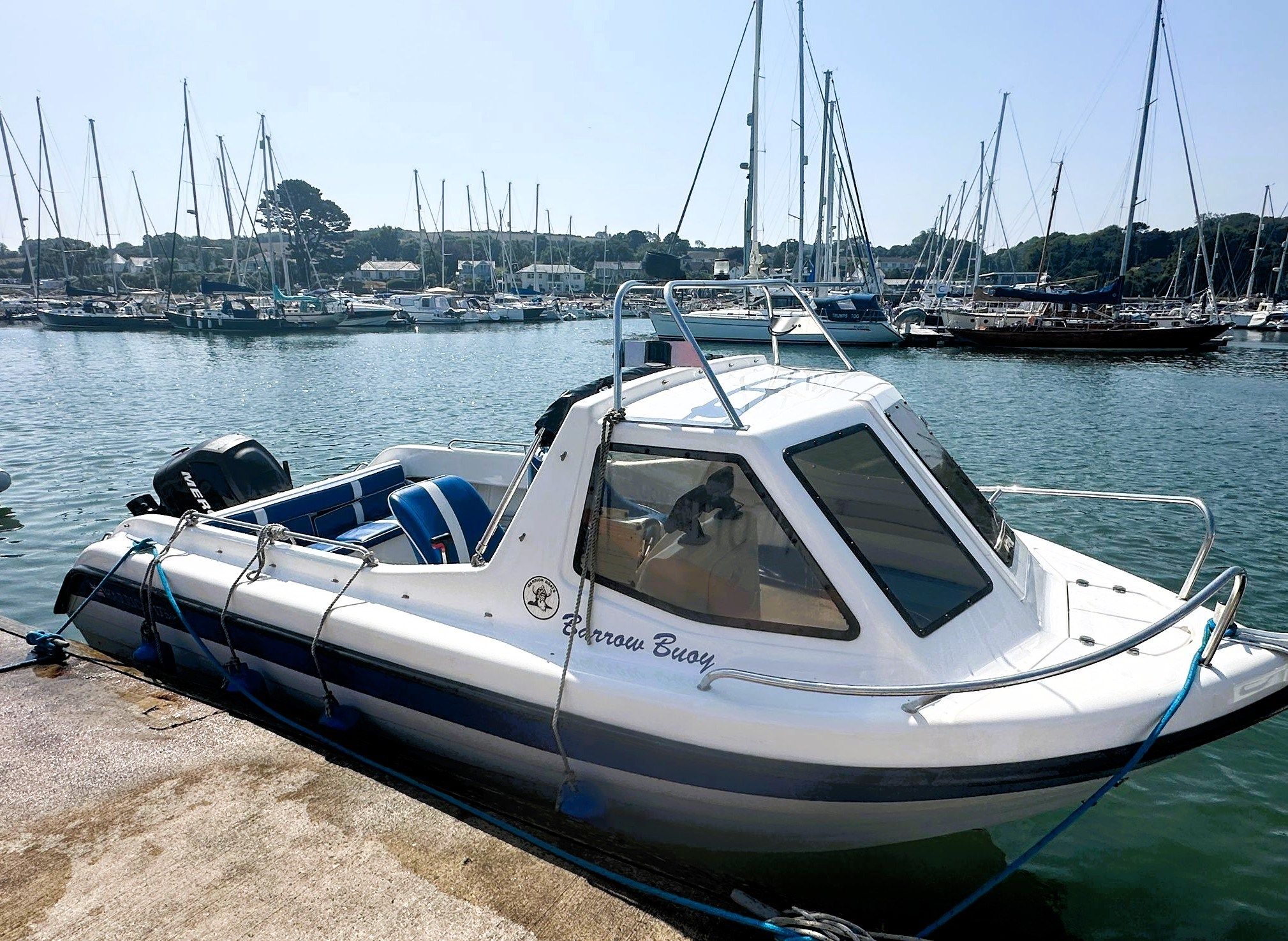 2011 Warrior 175