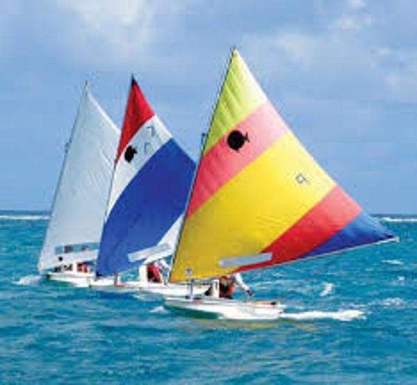 SERO Innovation Sunfish Colorful sailboats racing on the ocean, featuring 2025 SERO Innovation Sunfish models.