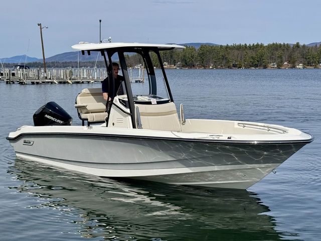 2025 Boston Whaler 220 Dauntless