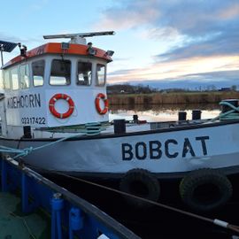 1964 Bobcat 1680