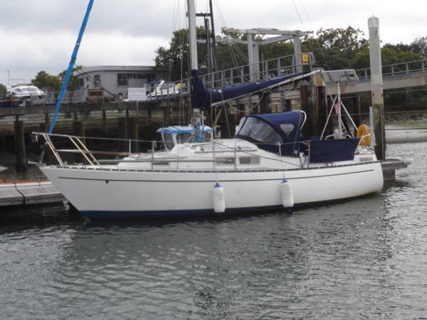 Seal boat shop for sale