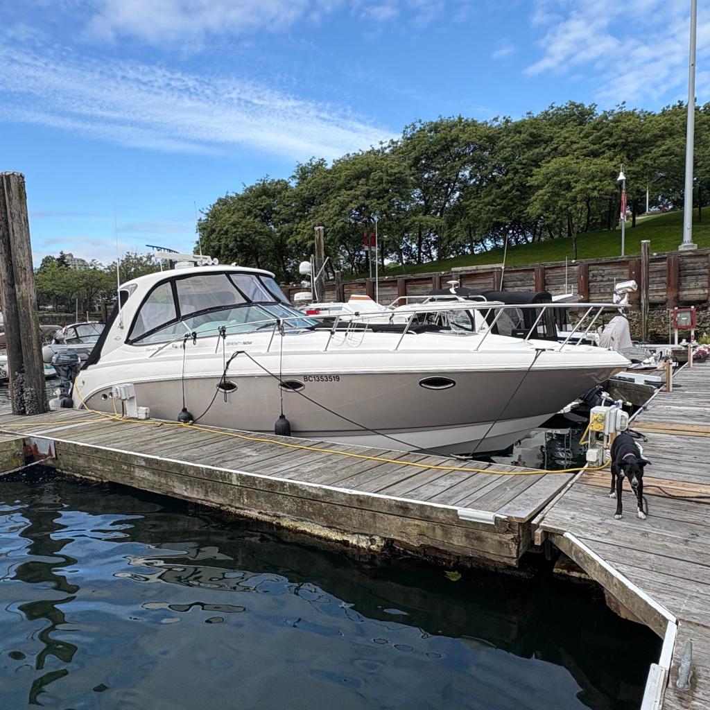 2007 Chaparral Signature 350