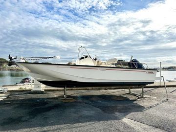 2023 Boston Whaler 210 Montauk
