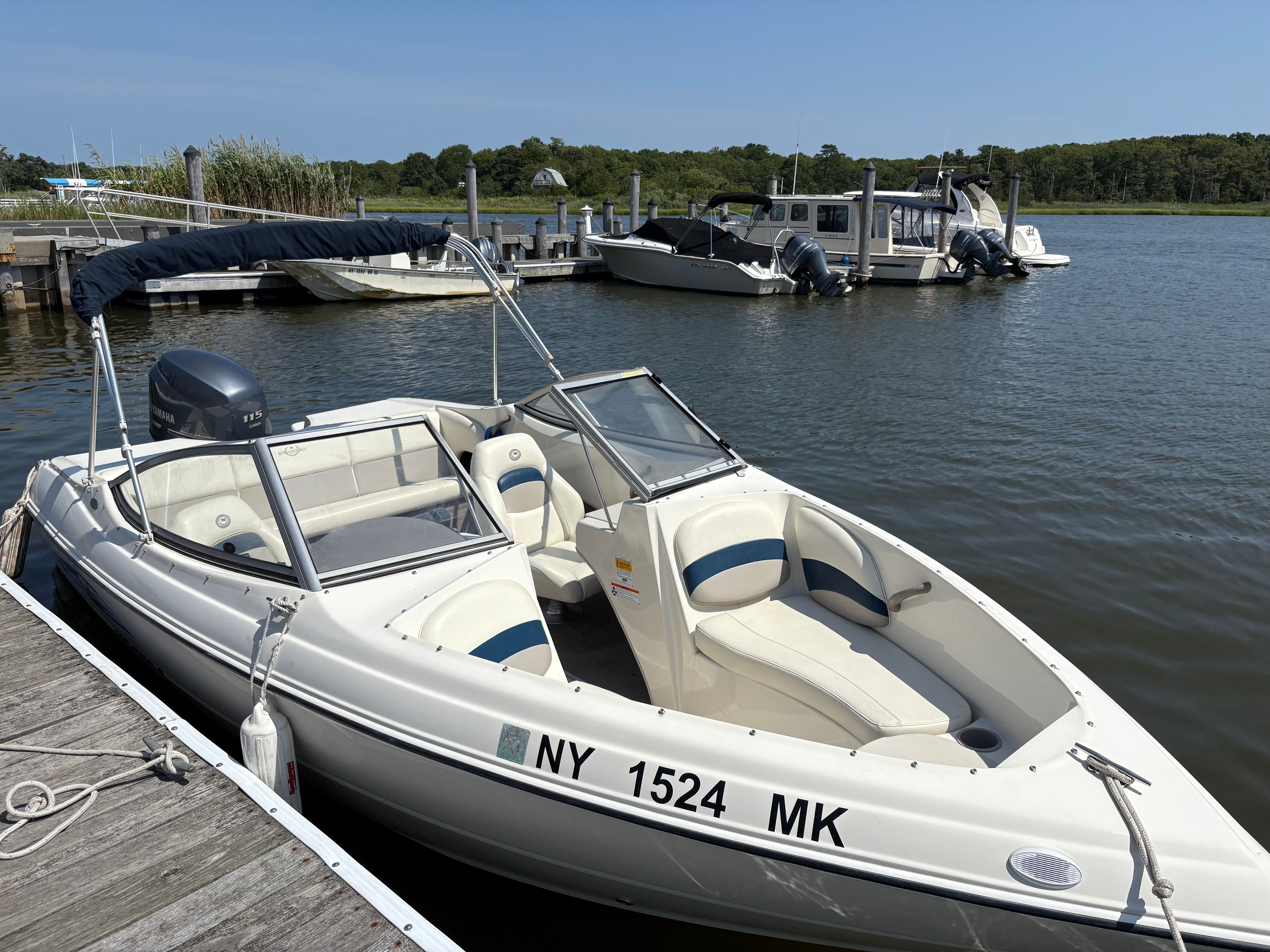 2013 Stingray 191LX