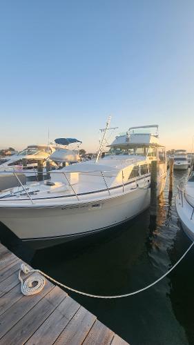 Bertram 42 Flybridge Motor Yacht 1977 Bertram 42 Flybridge Motor Yacht docked at marina during sunset.