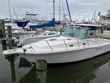 1999 Pursuit 3000 Express