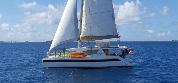 Leopard 48