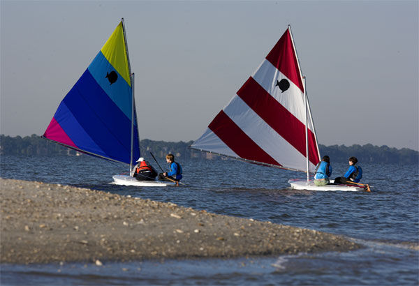 sunfish sailboat