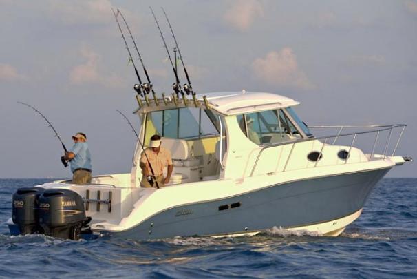 2009 Seaswirl Striper 2901 Walkaround O/B
