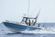 Cobia 265 Open Center Console thumbnail
