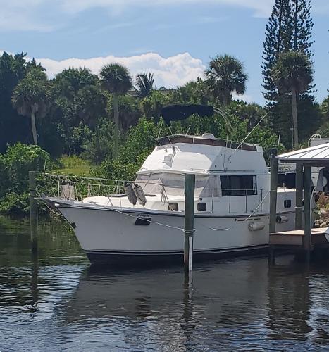 Big News The Only Place In The World You Can Buy New El Shaddai And Flamingo Boats
