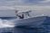 Cobia 285 Center Console thumbnail