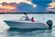 Cobia 220 Dual Console thumbnail