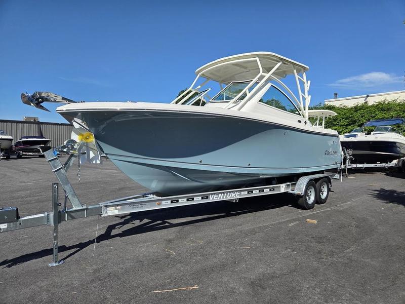2025 Sailfish 245 DC