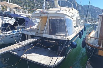 2000 ACM Dynasty 43