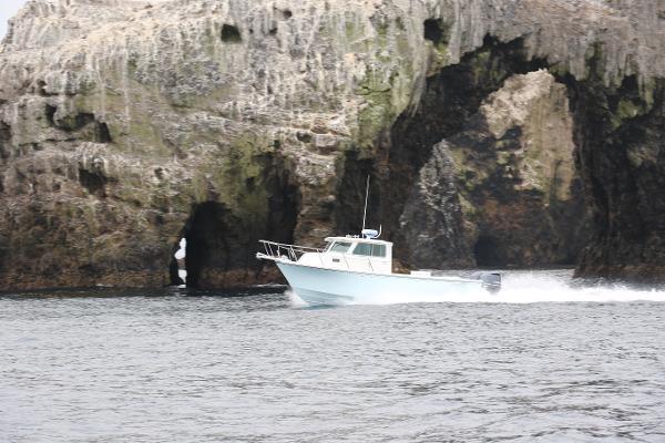 Parker 2820XLD 2024 Parker 2820XLD boat cruising near rocky cliffs.