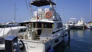 Bertram Bertram 37 Convertible _DSC5541