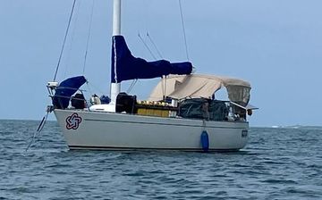 1987 Freedom 36