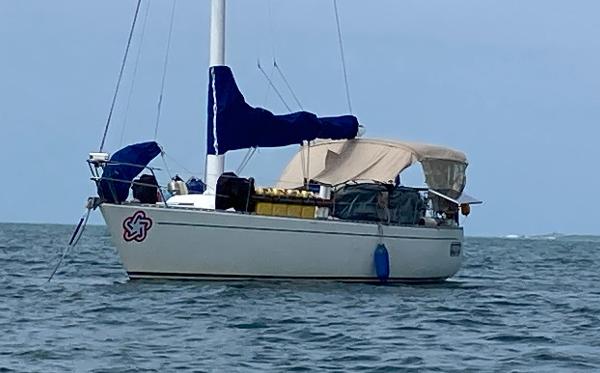 1987 Freedom 36