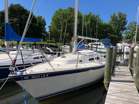 1980 O Day 280 Saint Joseph Michigan Boats Com