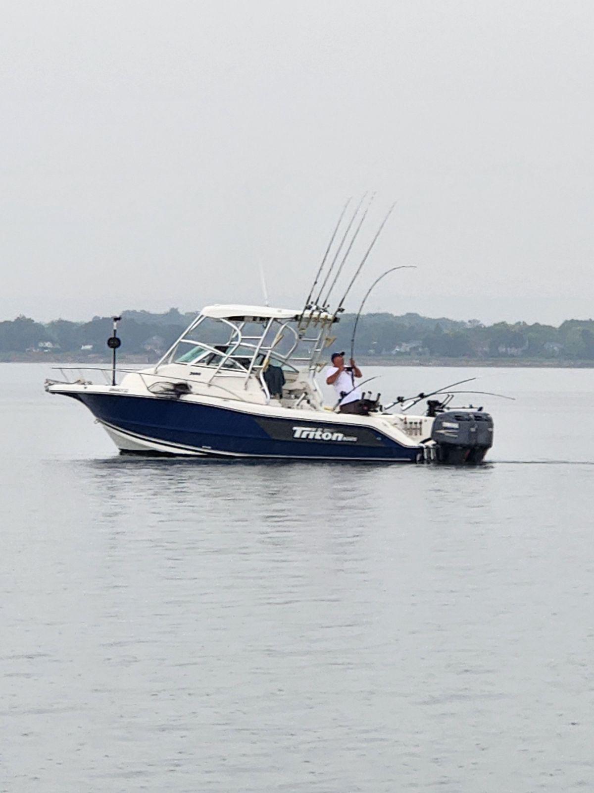 Triton 2690 WA