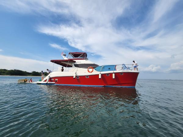2008 Flash Cat 43