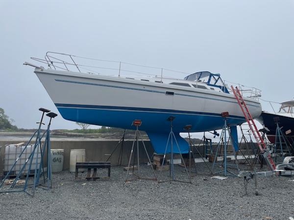 Catalina 380