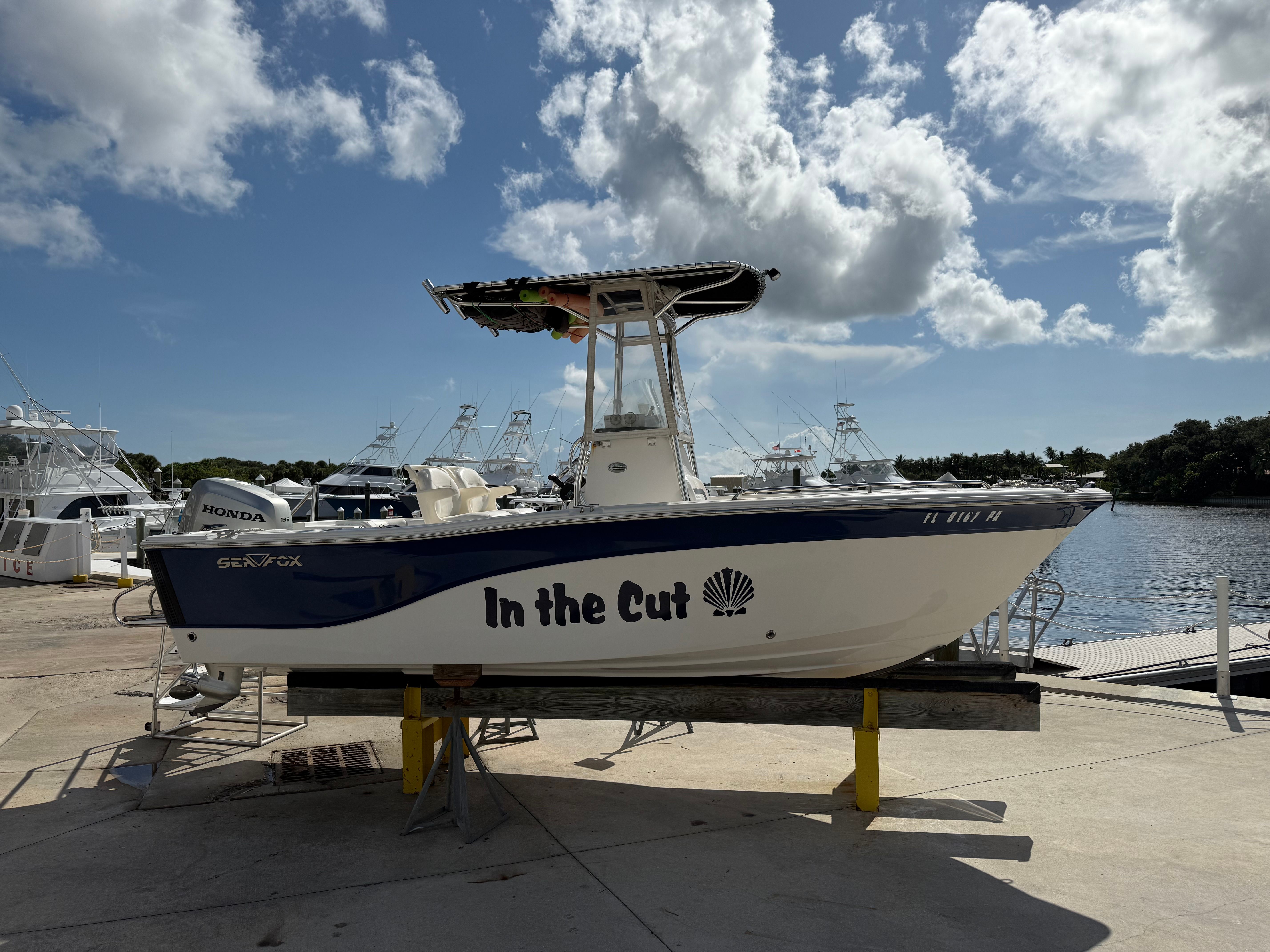 2010 Sea Fox 206CC Pro Series