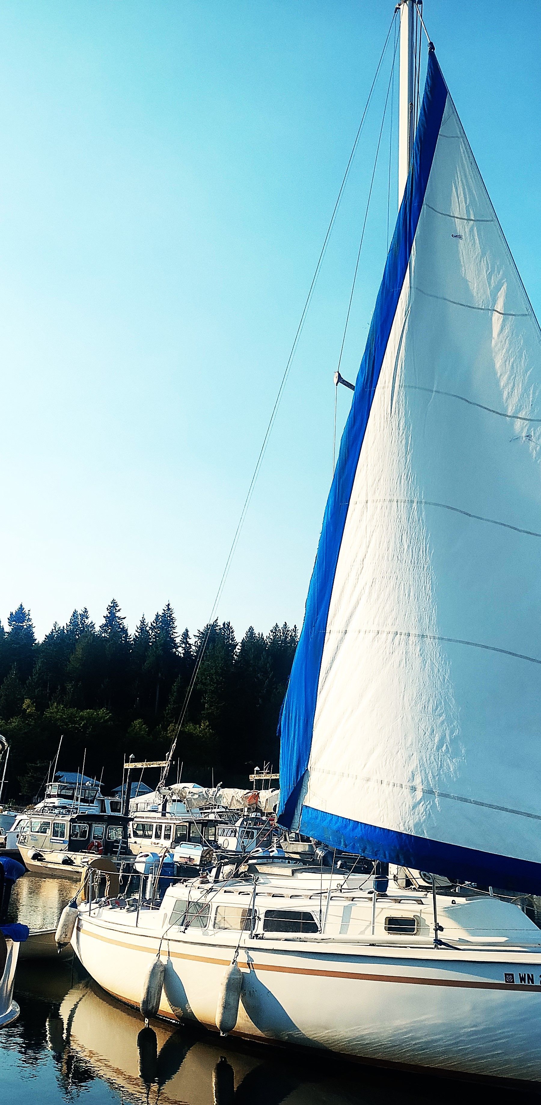 1975 Newport 30 Ft. Shoal draft, Phase-2