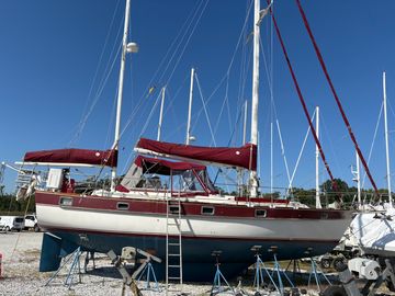 1984 Irwin 41
