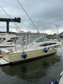2009 Bertram 36