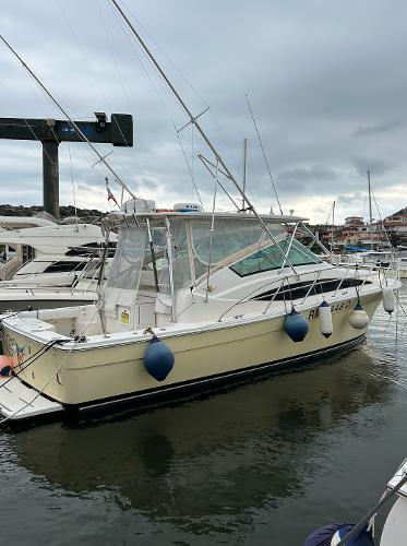 2009 Bertram 36