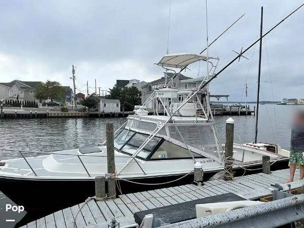 1988 Black Watch 30 Sportfish Convertible