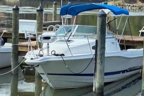 1995 Wellcraft 23 Excel