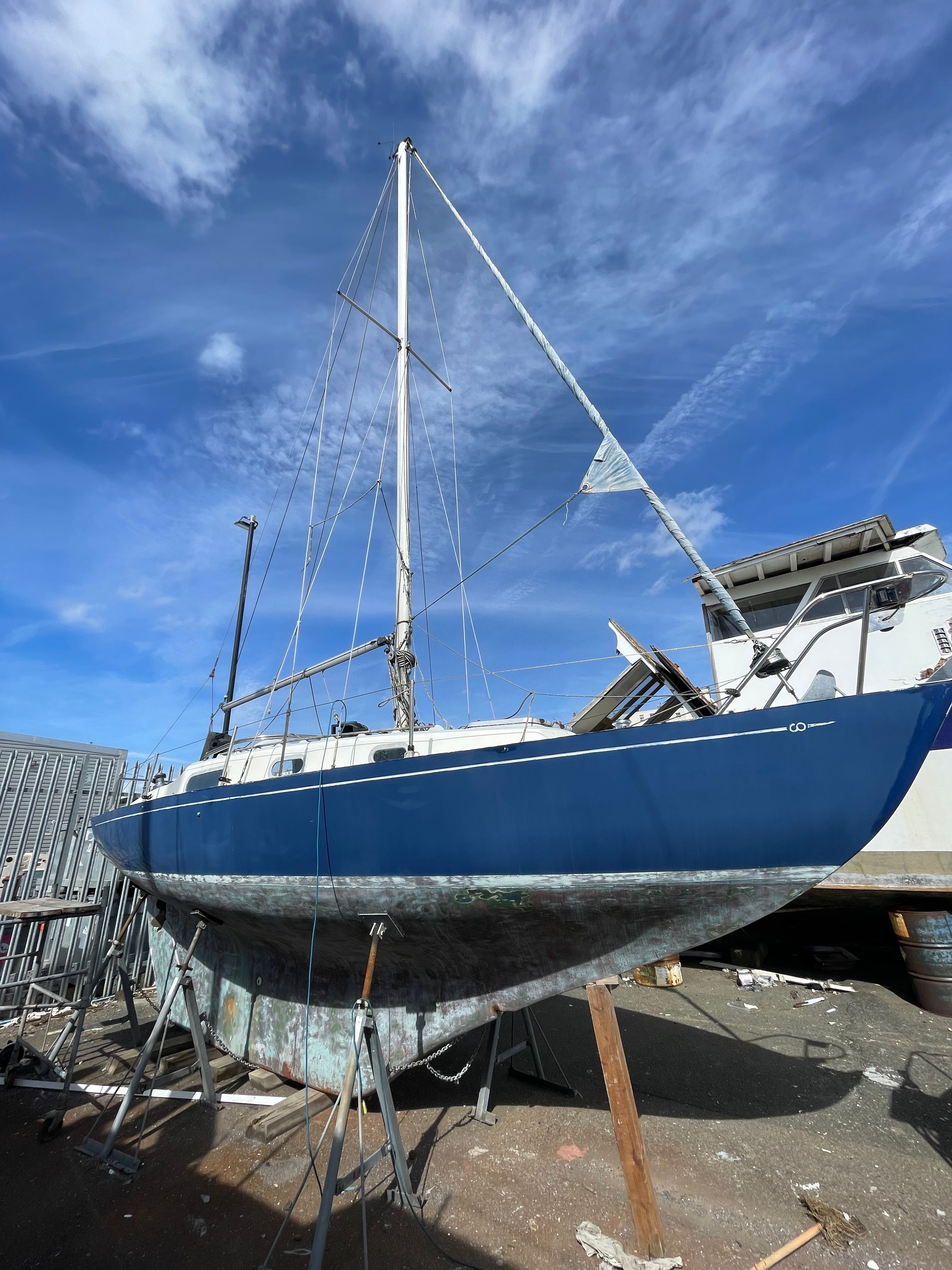 Contessa 26