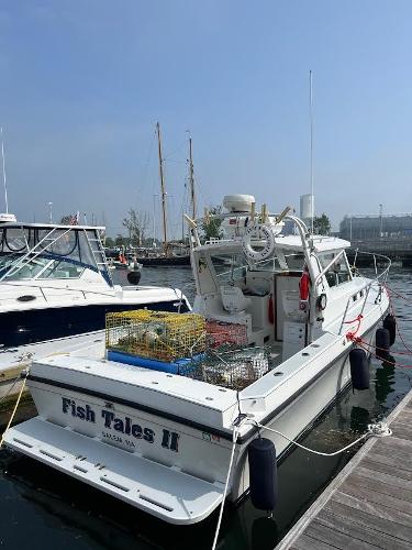 Albin 28 Tournament Express