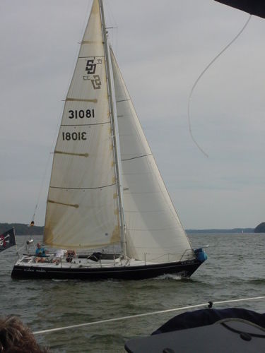 1981 San Juan 33S