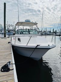 1991 Parker 2310 Walkaround