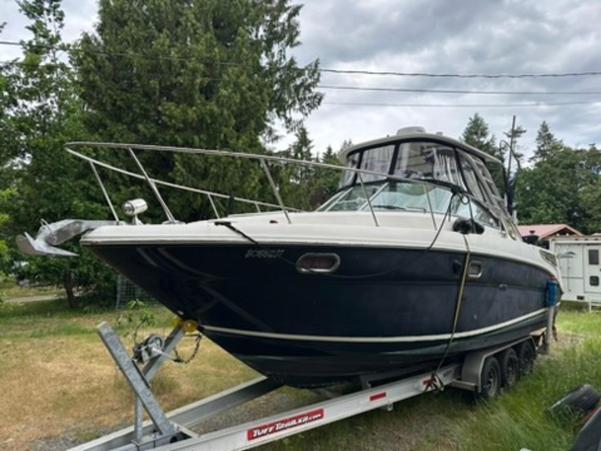Sea Ray 290 Amberjack