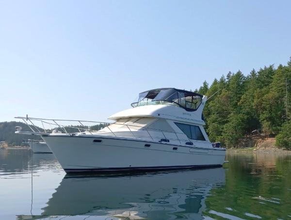 Bayliner 3988