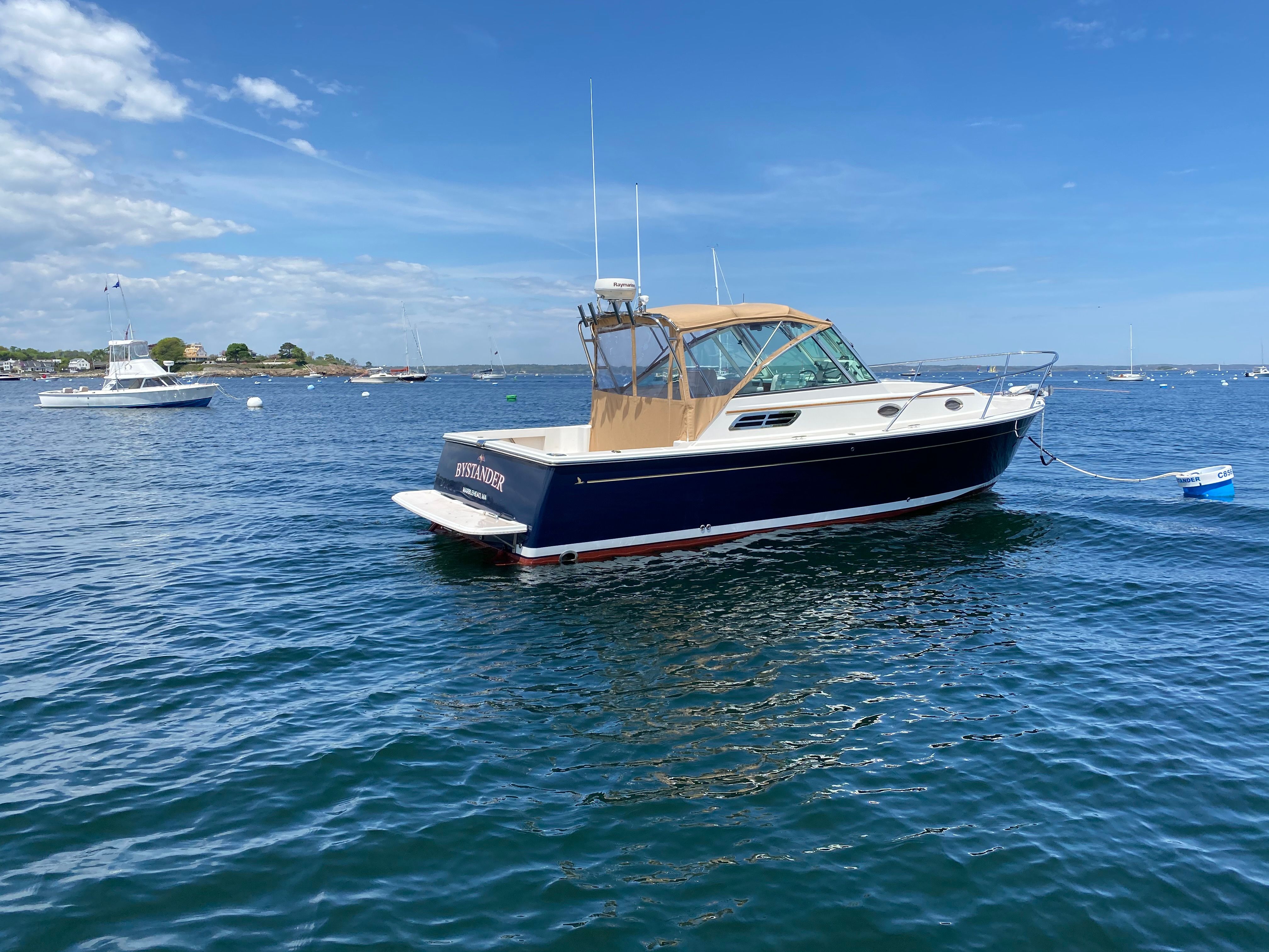 Back Cove 29