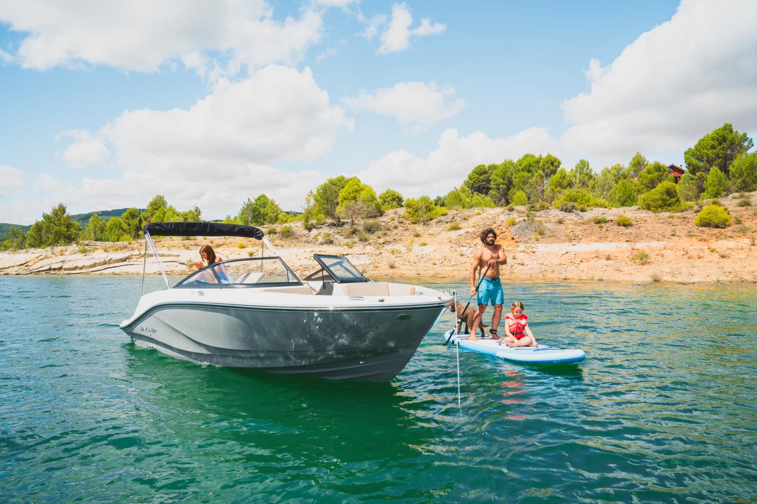 Bayliner V20i