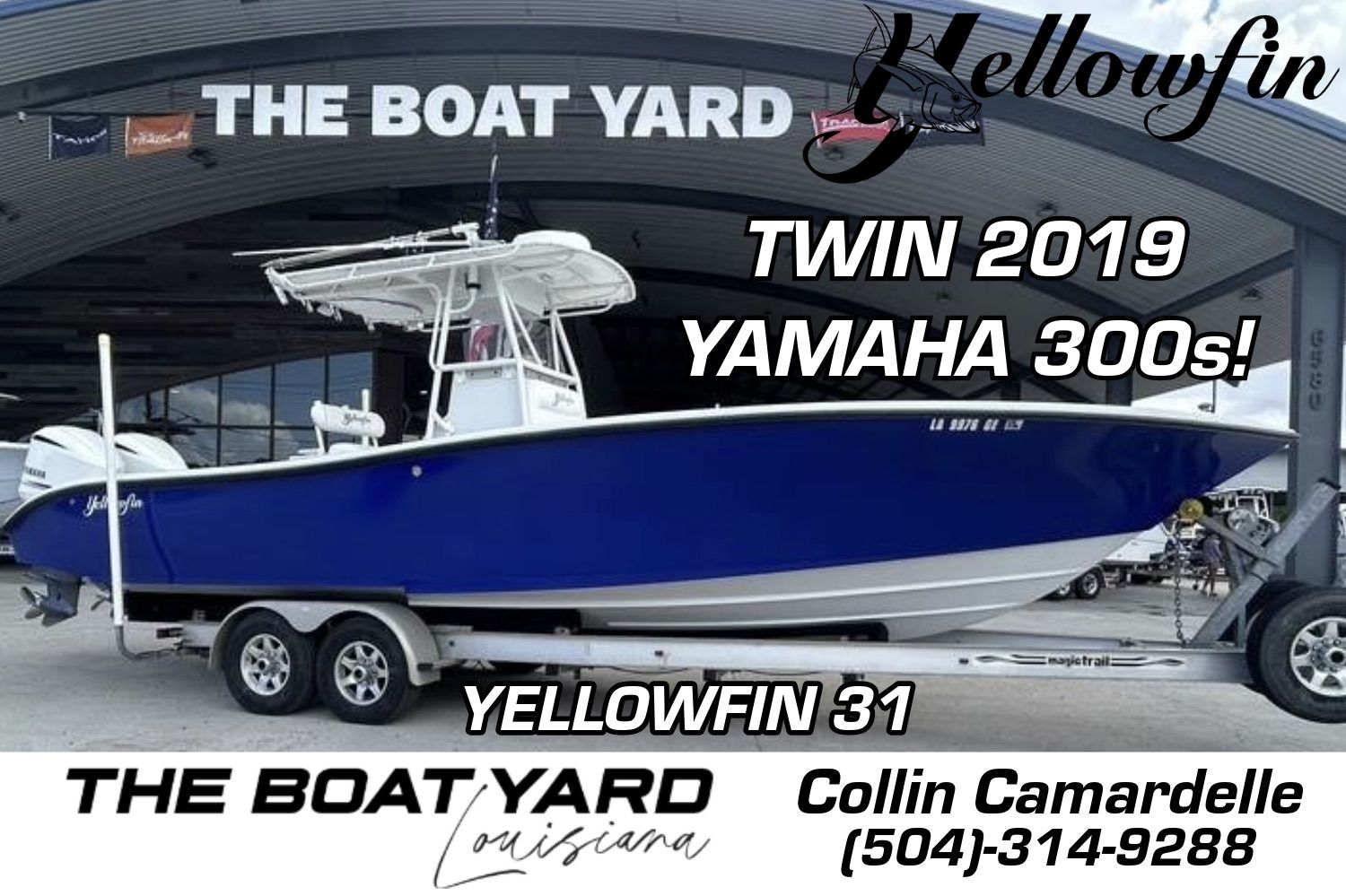 Yellowfin 31