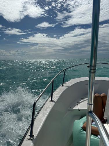 2002 Boston Whaler 160 Dauntless