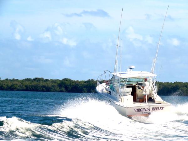 Moteur Peche Sportive Bateaux En Vente Boats Com Moteur Peche Sportive Bateaux En Vente Boats Com