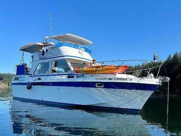 1974 Uniflite Tri-Cabin 36