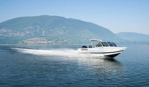 KingFisher 2025 Falcon